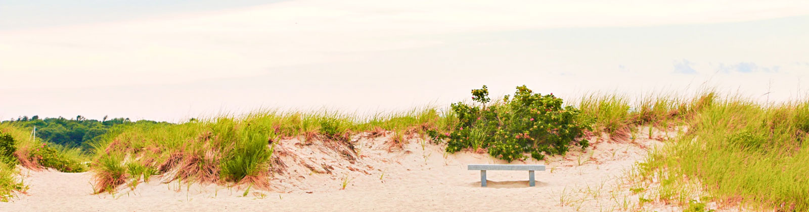 Bench on a beach